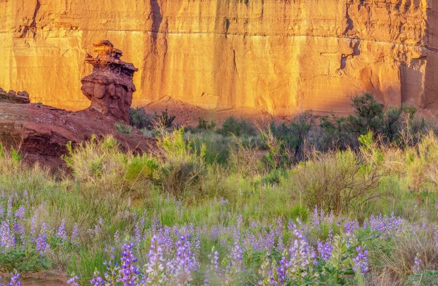 Capitol Reef National Park: Cathedral Valley Day Trip - Lower South Desert Overlook and the first monoliths