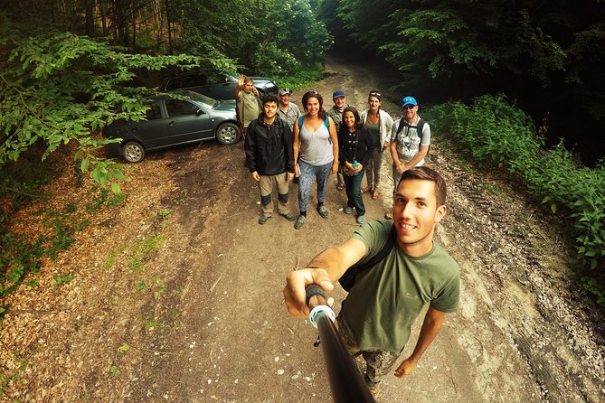 Carpathian Wilderness: A Wildlife Experience from Brașov - Two quiet hours behind the windows