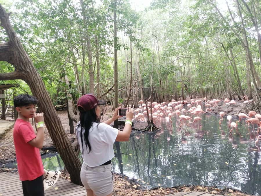 Cartagena: Aviary National Park Tour with Hotel Pickup - Key points to know before booking