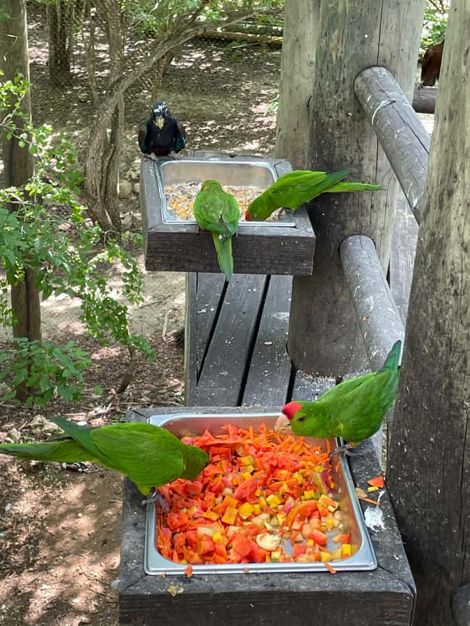Cartagena: Aviary National Park Tour with Hotel Pickup - What you can see along the paths