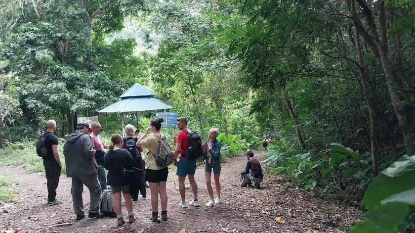 Cat Ba: National Park Day Trip with Cycling and Kayaking - Frog Pond and the primary forest