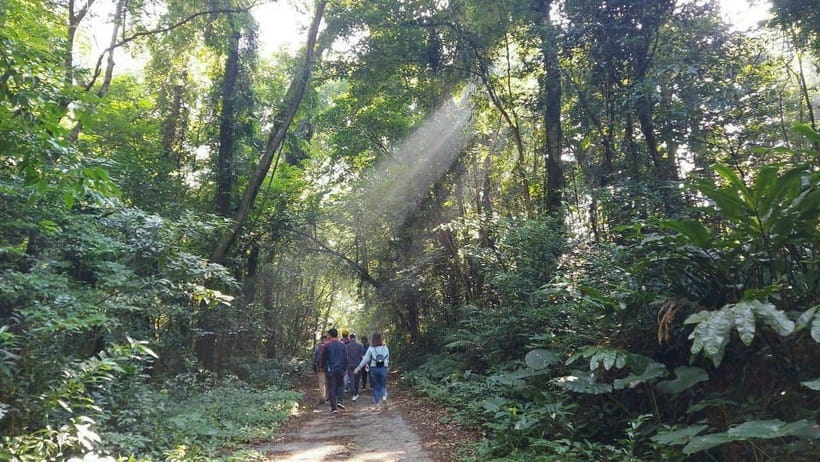 Cat Ba: National Park Day Trip with Cycling and Kayaking - Descending toward Viet Hai village