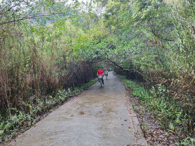 Cat Ba National Park Full Day Guide Tour Trekking & Kayaking - Key points at a glance