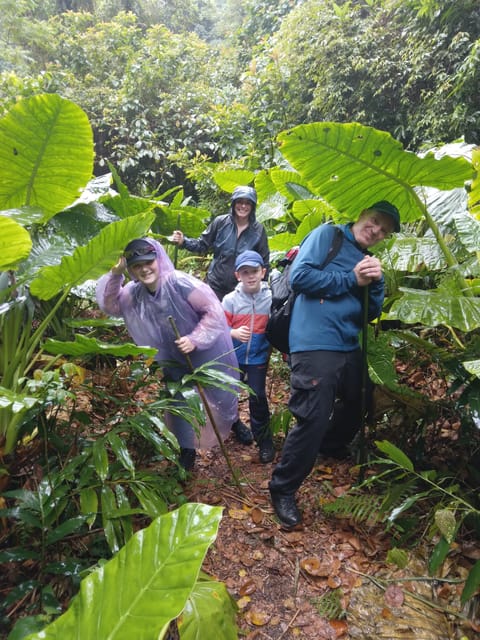 Cat Ba National Park Full Day Guide Tour Trekking & Kayaking - What the $44 price really covers