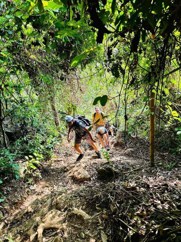 Cat Ba National Park Trekking & Ancient Village Biking - Four details that shape the day