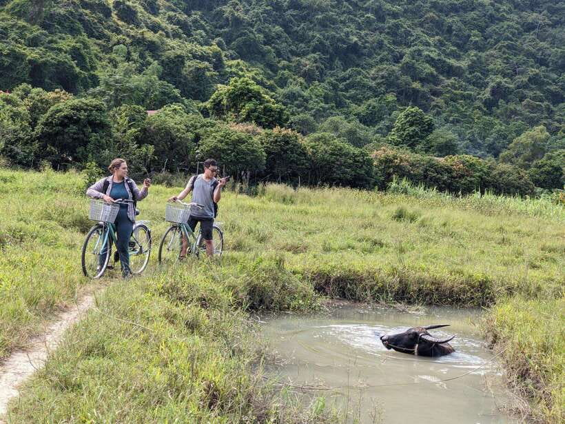 Cat Ba National Park Trekking & Ancient Village Biking - Frog Pond and the Va Nuoc trees