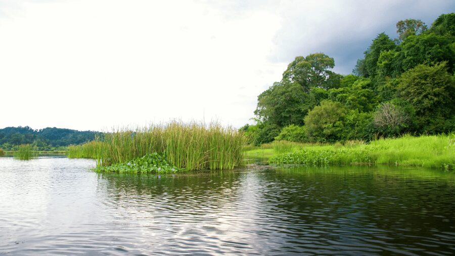 Cat Tien National Park with Crocodile Lake - Practical preparation for the forest and lake