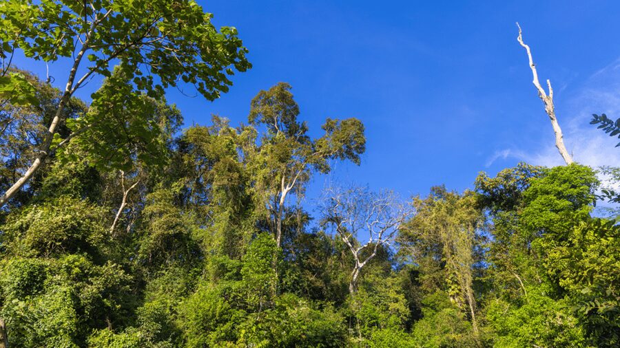 Cat Tien National Park with Crocodile Lake - Why this Cat Tien trip works well for a two-day break