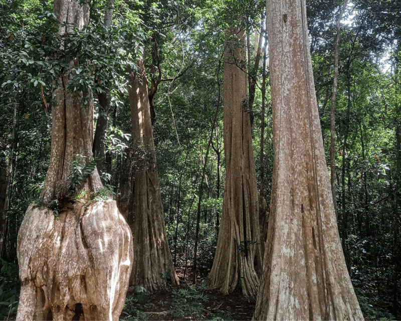 Cat Tien National Park with Crocodile Lake - The night safari begins at 6:30 PM