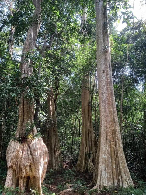 Cat Tien National Park with Crocodile Lake - Who should book this Cat Tien experience?