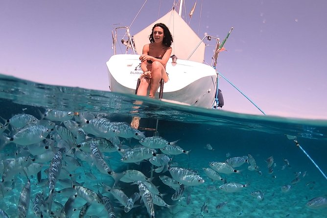 Catamaran excursions in the Asinara island National park - Who will enjoy this Asinara day most?