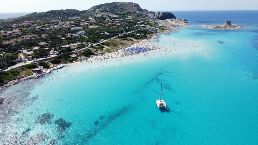 Catamaran tour Asinara island national park Buriana Charter - Going Ashore to See Asinara’s Animals