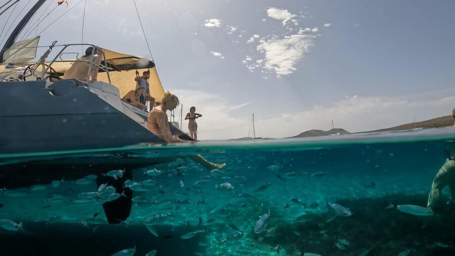 Catamaran tour Asinara island national park Buriana Charter - Who Will Enjoy This Catamaran Trip Most