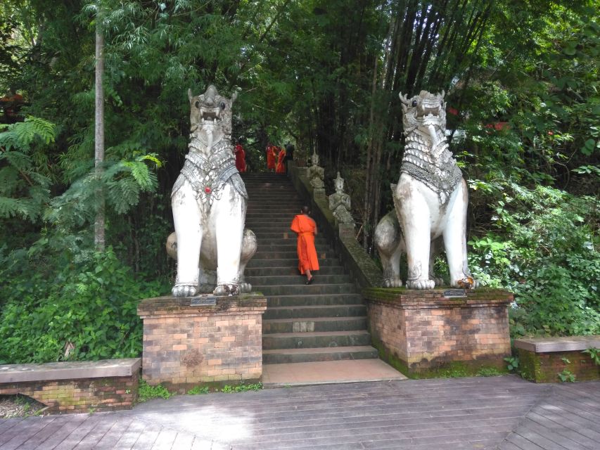 Chiang Mai: 7-Hour Doi Suthep National Park Summit Hiking - Key points before you book