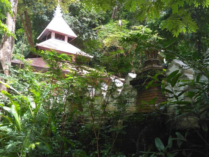 Chiang Mai: 7-Hour Doi Suthep National Park Summit Hiking - The two-and-a-half-hour climb through Doi Suthep-Pui