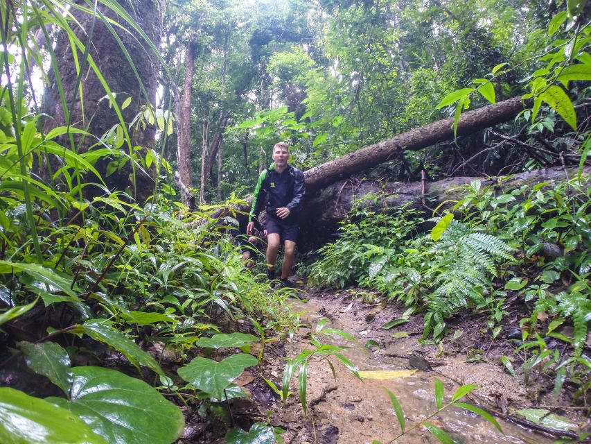 Chiang Mai: 7-Hour Doi Suthep National Park Summit Hiking - Doi Pui and the Hmong village