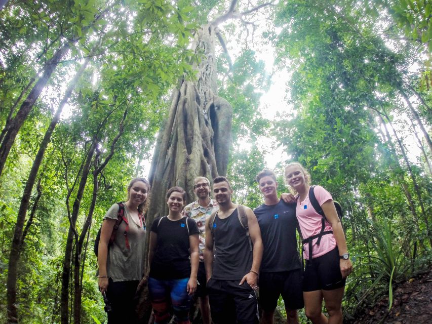 Chiang Mai: 7-Hour Doi Suthep National Park Summit Hiking - Wat Pha Lat and the old monk trail