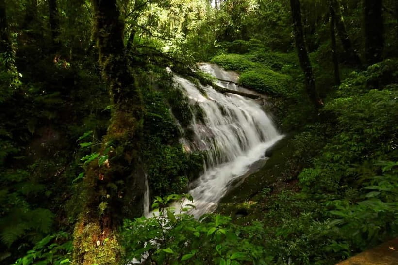 Chiang Mai: Doi Inthanon National Park and Kew Mae Pan Tour - The $61 price and what it really covers