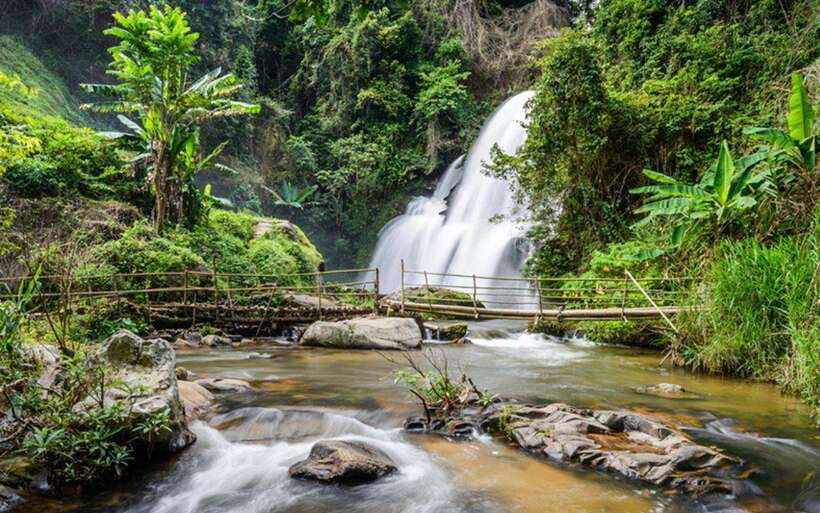 Chiang Mai: Doi Inthanon National Park and Pha Dok Siew Trek - Doi Inthanon National Park and the mountain air