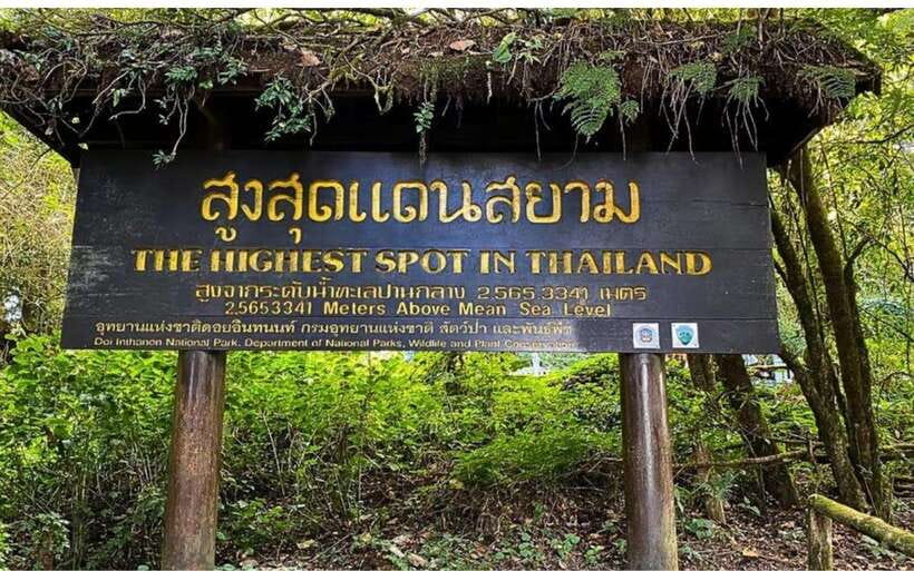 Chiang Mai: Doi Inthanon National Park and Pha Dok Siew Trek - The Pha Dok Siew Nature Trail