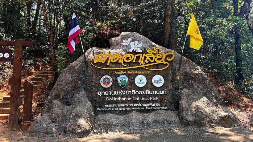 Chiang Mai: Doi Inthanon National Park and Pha Dok Siew Trek - Pickup, van ride, and the first coffee stop