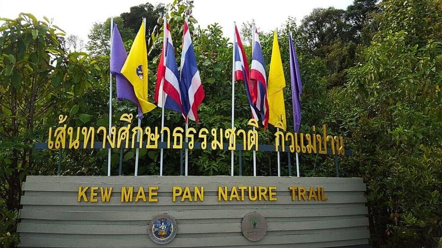 Chiang Mai:Doi Inthanon National Park & Hike at Kew Mae Pan - Pace, transport, and group feel