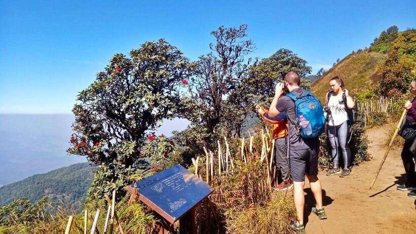 Chiang Mai:Doi Inthanon National Park & Hike at Kew Mae Pan - Leaving Chiang Mai for Doi Inthanon