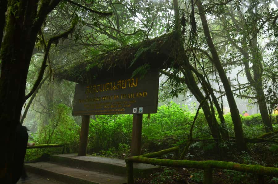 Chiang Mai: Doi Inthanon National Park Private Tour - Starting from Chiang Mai