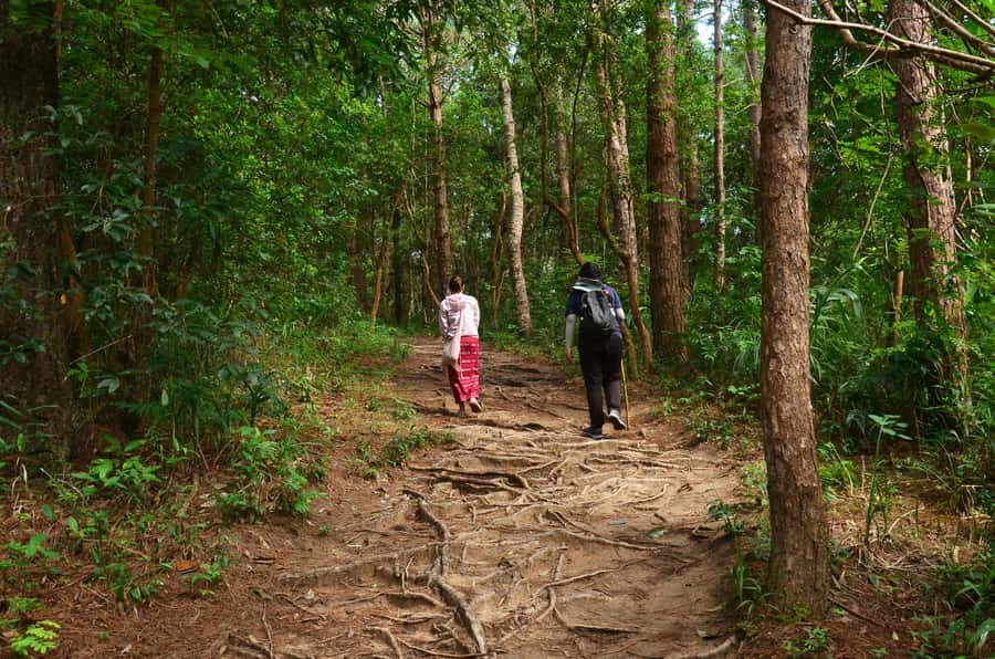 Chiang Mai: Doi Inthanon National Park Private Tour - Reaching Thailand’s highest point