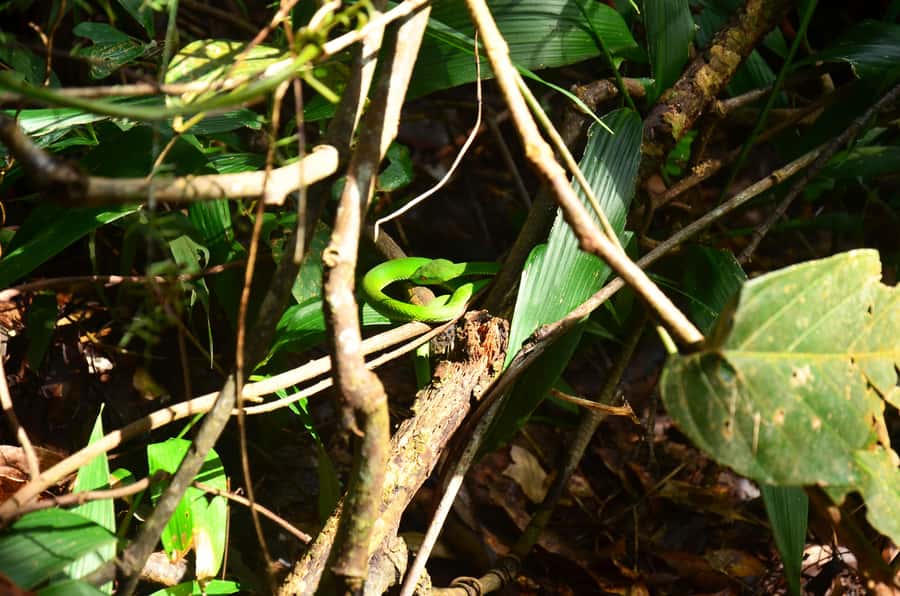 Chiang Mai: Doi Inthanon National Park Private Tour - Waterfalls at Wachirathan