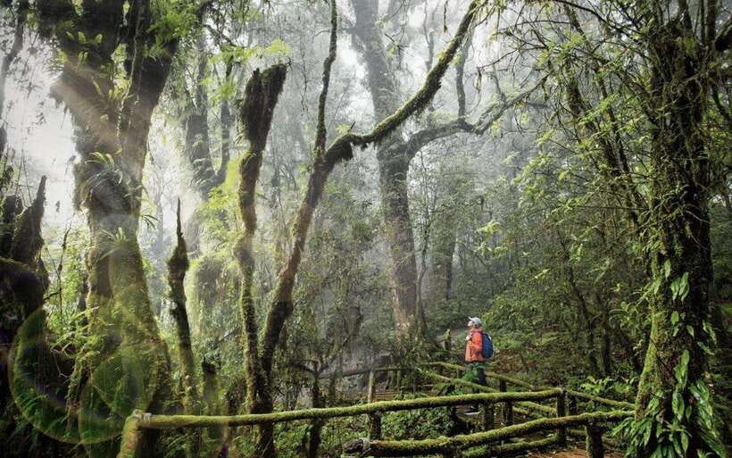 Chiang Mai: Doi Inthanon National Park Sightseeing Only - The best parts of this Doi Inthanon day trip