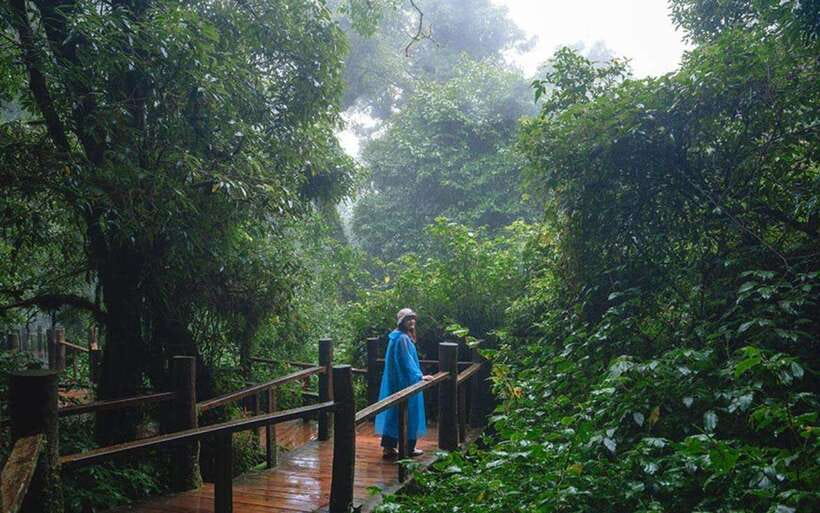 Chiang Mai: Doi Inthanon National Park Sightseeing Only - Who should book this Doi Inthanon tour?