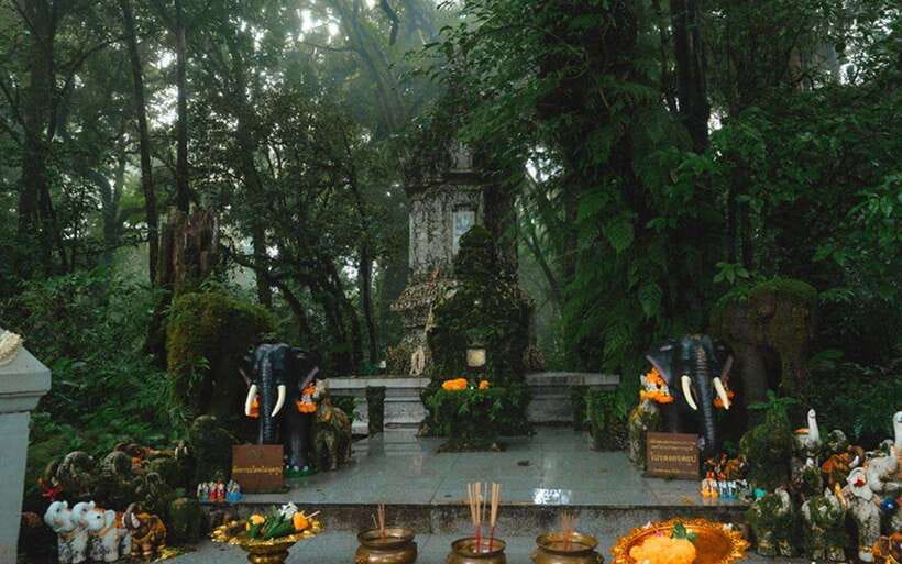 Chiang Mai: Doi Inthanon National Park Sightseeing Only - Sirithan Waterfall and a practical lunch stop