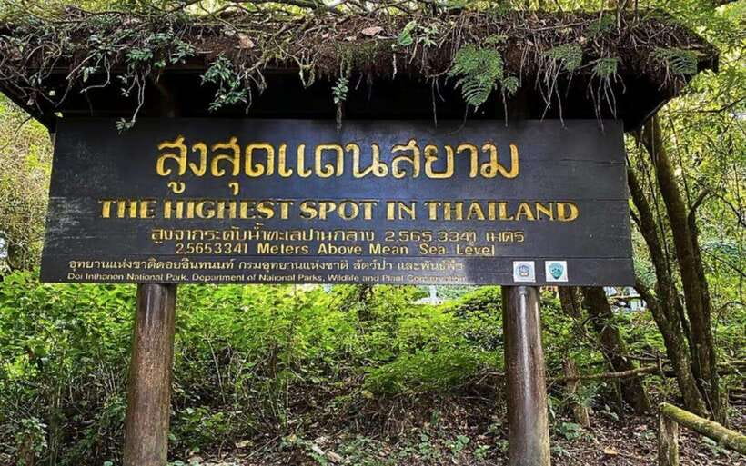 Chiang Mai: Doi Inthanon National Park Sightseeing Only - How the guide and group size affect the day