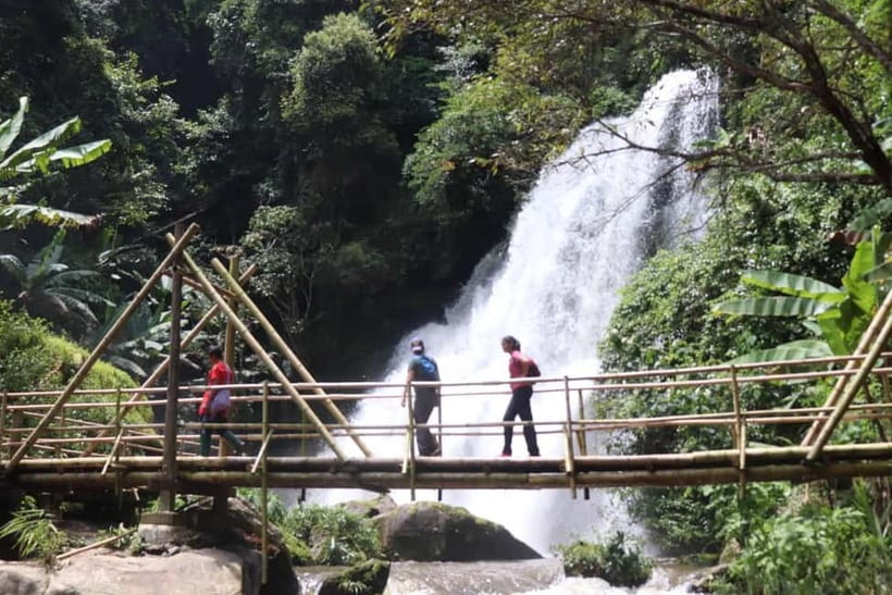 Chiang Mai: Doi Inthanon National Park+Trek Pha Dok Siew - Key points to know before booking