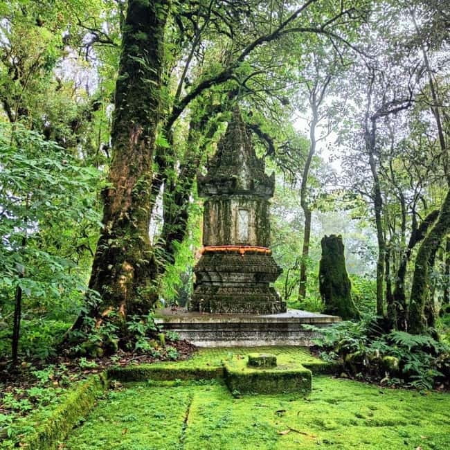 Chiang Mai: Doi Inthanon National Park+Trek Pha Dok Siew - A full day in Doi Inthanon National Park