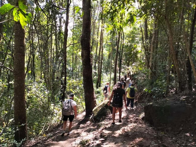Chiang Mai: Doi Inthanon National Park+Trek Pha Dok Siew - Ban Mae Klang Luang and seasonal rice fields