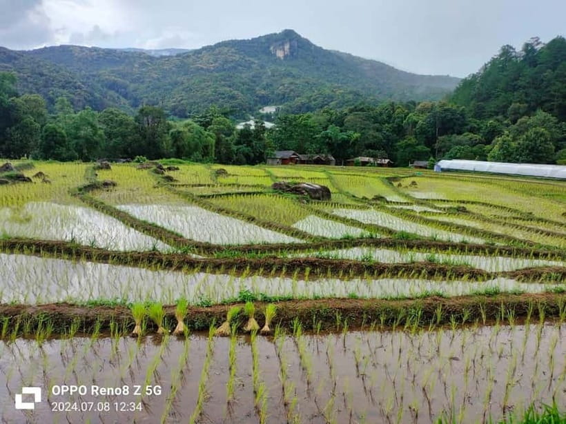 Chiang Mai: Doi Inthanon National Park+Trek Pha Dok Siew - Who will enjoy this day most