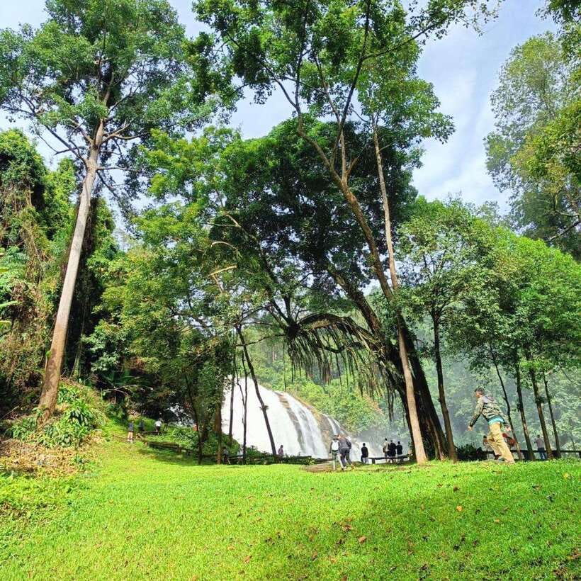 Chiang Mai: Doi Inthanon National Park & Waterfall Day Tour - The morning climb to 2,565 meters