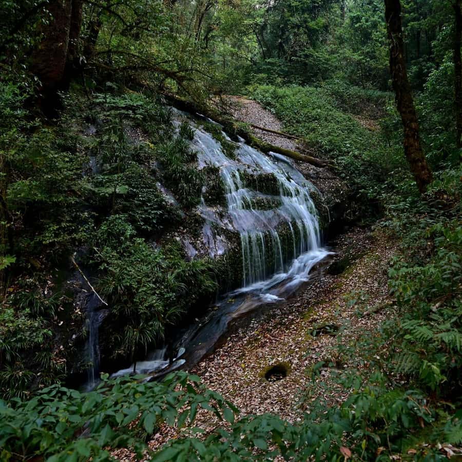 Chiang Mai: Doi Inthanon National Park, Waterfall & Lunch - The summit and Thailand’s highest point