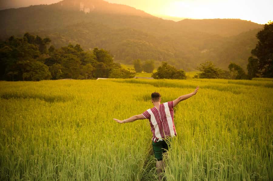Chiang Mai: Doi Inthanon National Park, Waterfall & Lunch - A Karen village and a slower look at local life