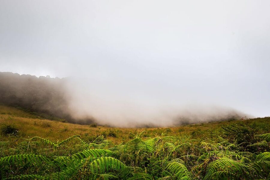 Chiang Mai: Doi Inthanon National Park, Waterfall & Lunch - Is $37 good value?