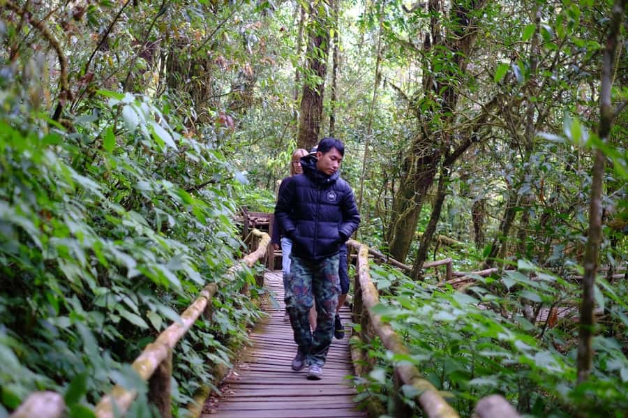 Chiang Mai: Doi Inthanon National Park with Ticket & Lunch - Is $80 a fair price?