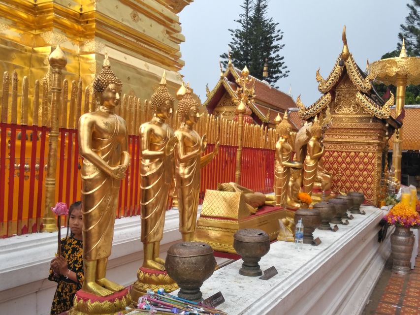 Chiang Mai: Doi Suthep National Park Leisure Hiking & Biking - How hard is the day?