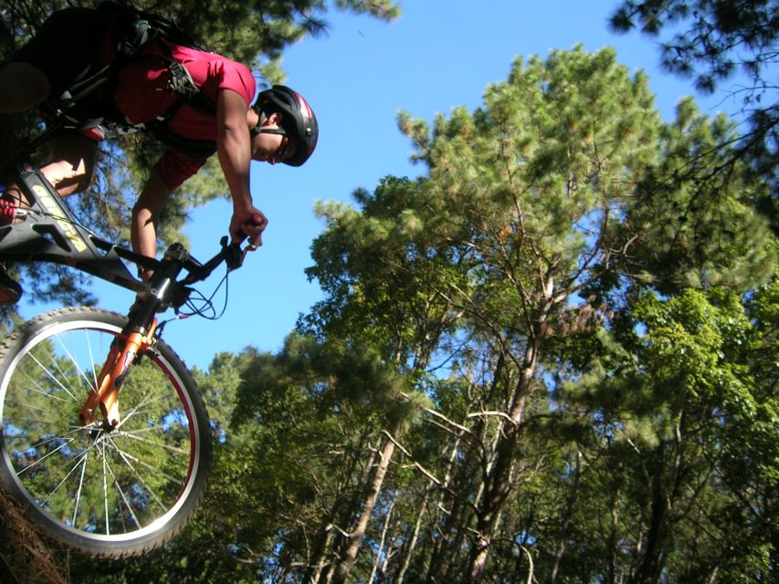 Chiang Mai: Doi Suthep National Park Leisure Hiking & Biking - The final ride returns you to Chiang Mai