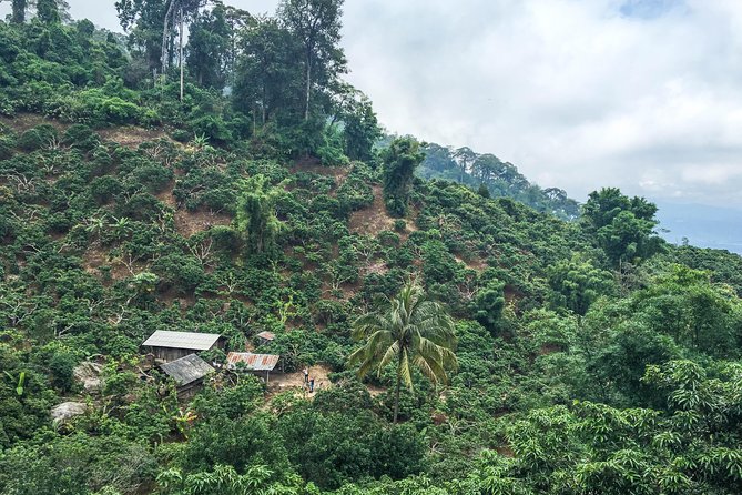 Chiang mai Hike & Downhill Bike Adventure –Suthep National Park - More than two hours of downhill riding in Doi Suthep-Pui