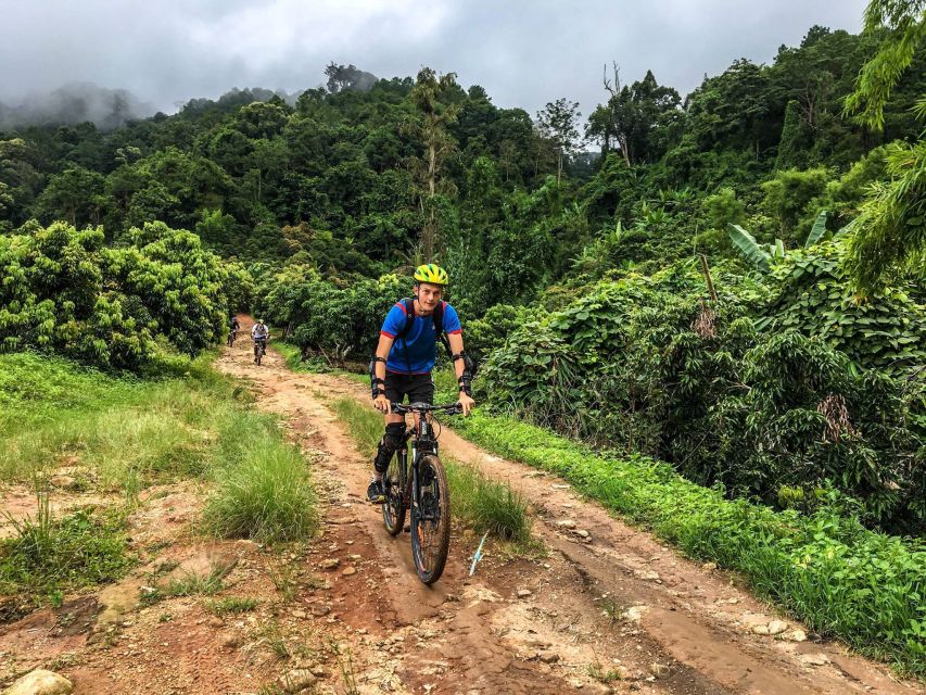 Chiang Mai: Suthep National Park Hiking & DH Mountain Biking - Key points to know before booking