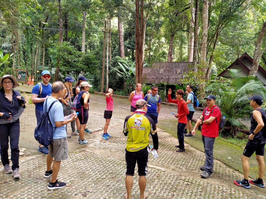 Chiang Mai: Suthep National Park Hiking & DH Mountain Biking - Three hours through Doi Suthep’s highland jungle