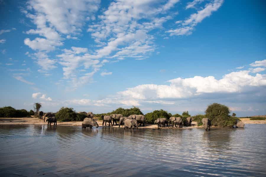 Chobe National Park: Day Trip, Safari drive & River Cruise - Best season and what to pack