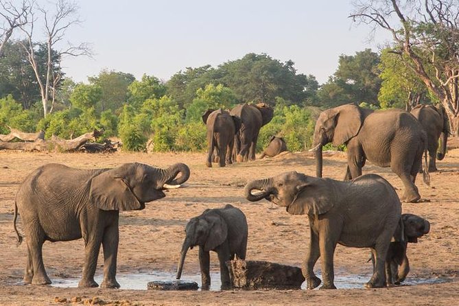 Chobe National Park Full Day Safari (Botswana) - The Chobe River boat cruise